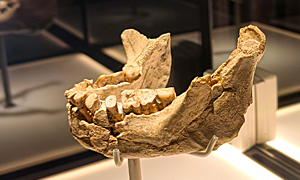Museu Arqueològic de Banyoles